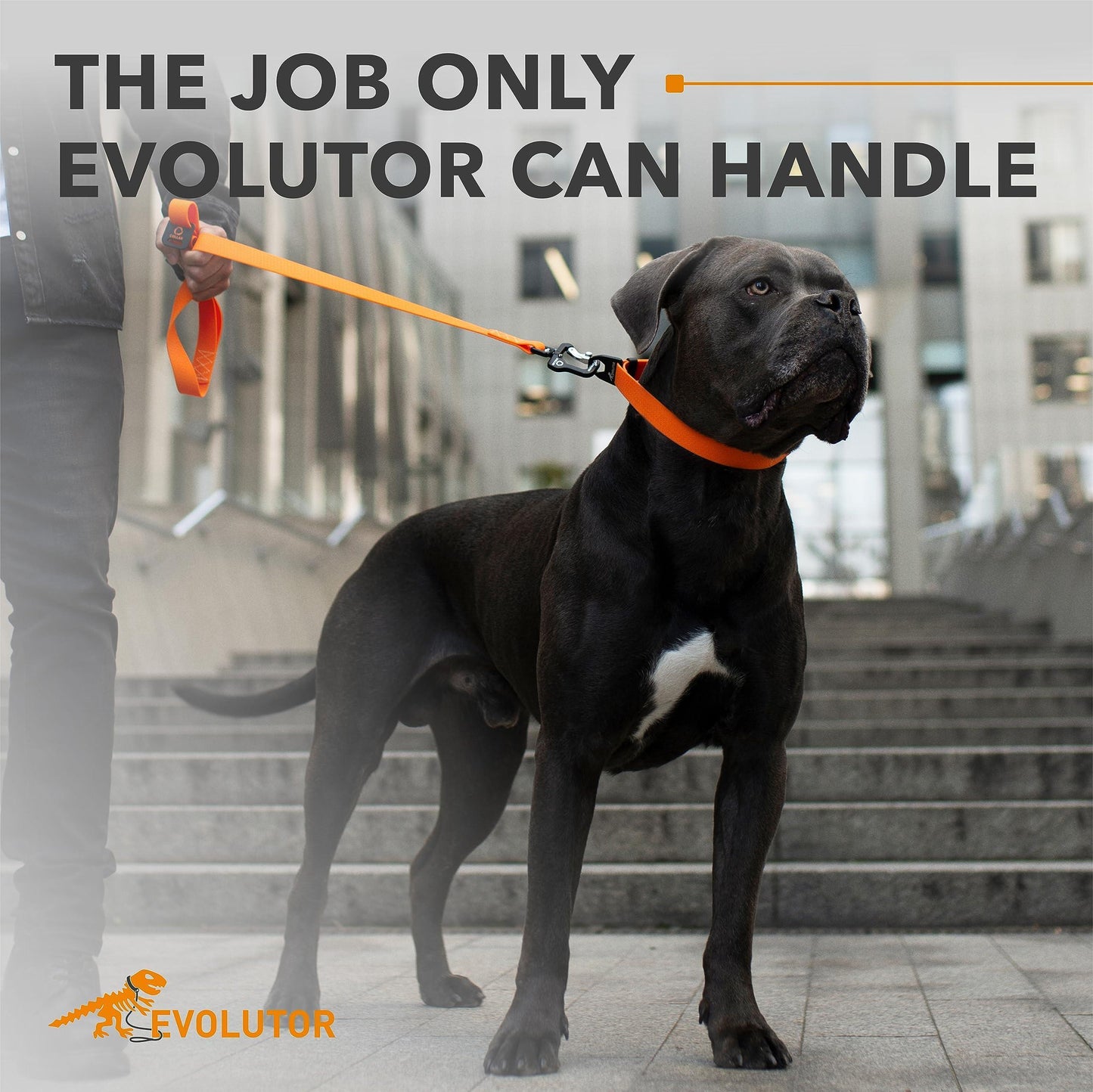 Orange Evolutor Extra Heavy Duty Dog Leash 10 Ft Durable Leash for Large Dogs