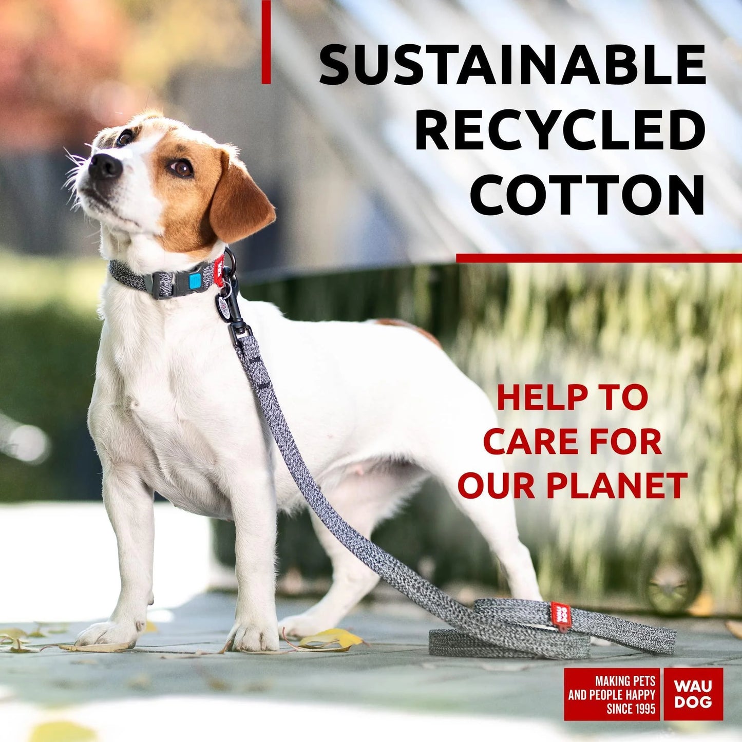 Recycled Cotton Dog Leash 3/5 Inch X 6 Ft Eco Friendly for Small Medium Large