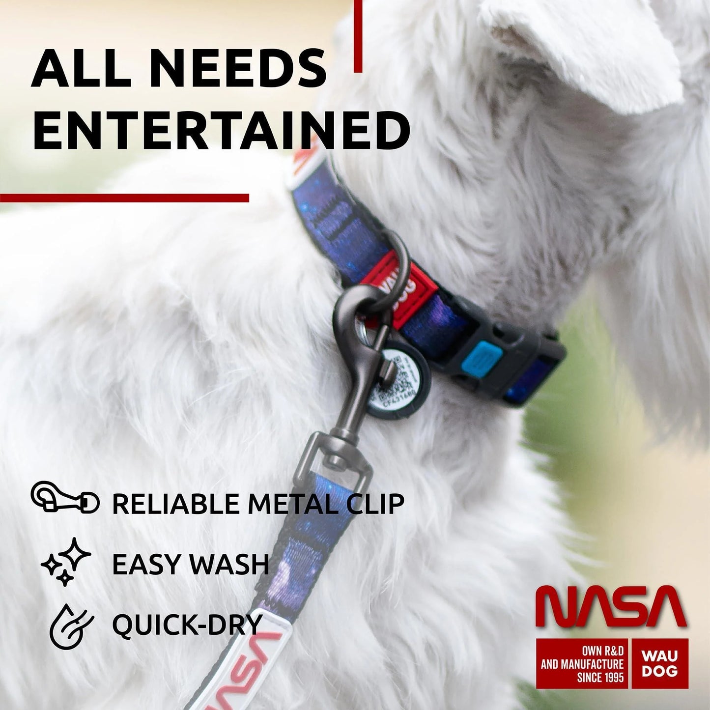Nylon Dog Leash for Small and Medium Dogs 4 Ft X 4/5 in Wide NASA Design