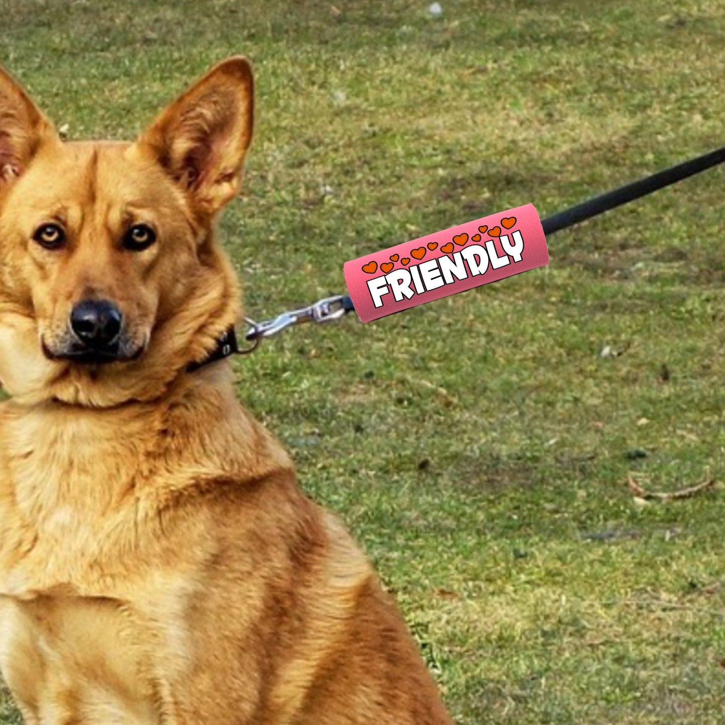 I'M FRIENDLY Grip-1