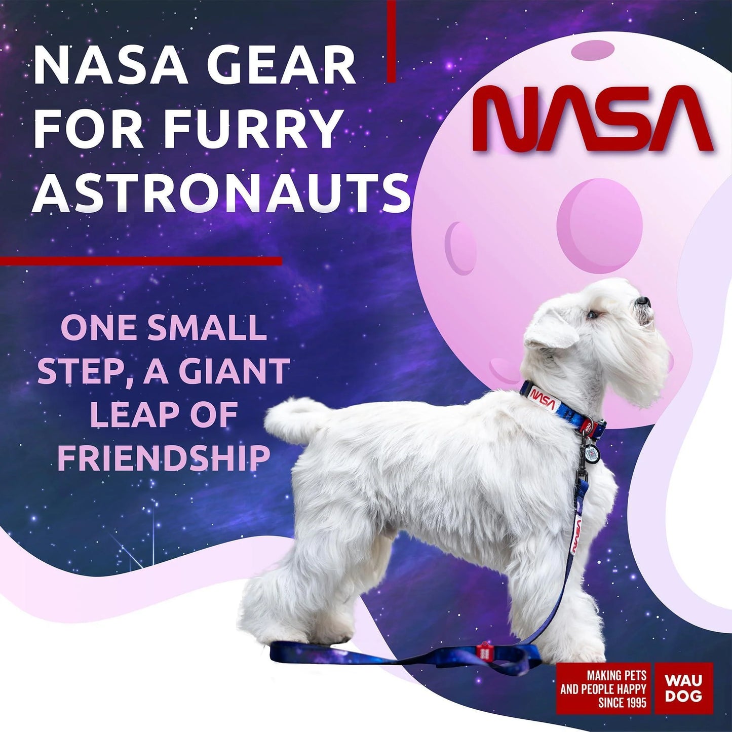 Nylon Dog Leash for Small and Medium Dogs 4 Ft X 4/5 in Wide NASA Design