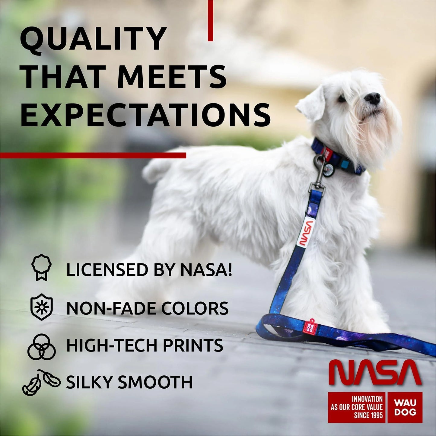Nylon Dog Leash for Small and Medium Dogs 4 Ft X 4/5 in Wide NASA Design