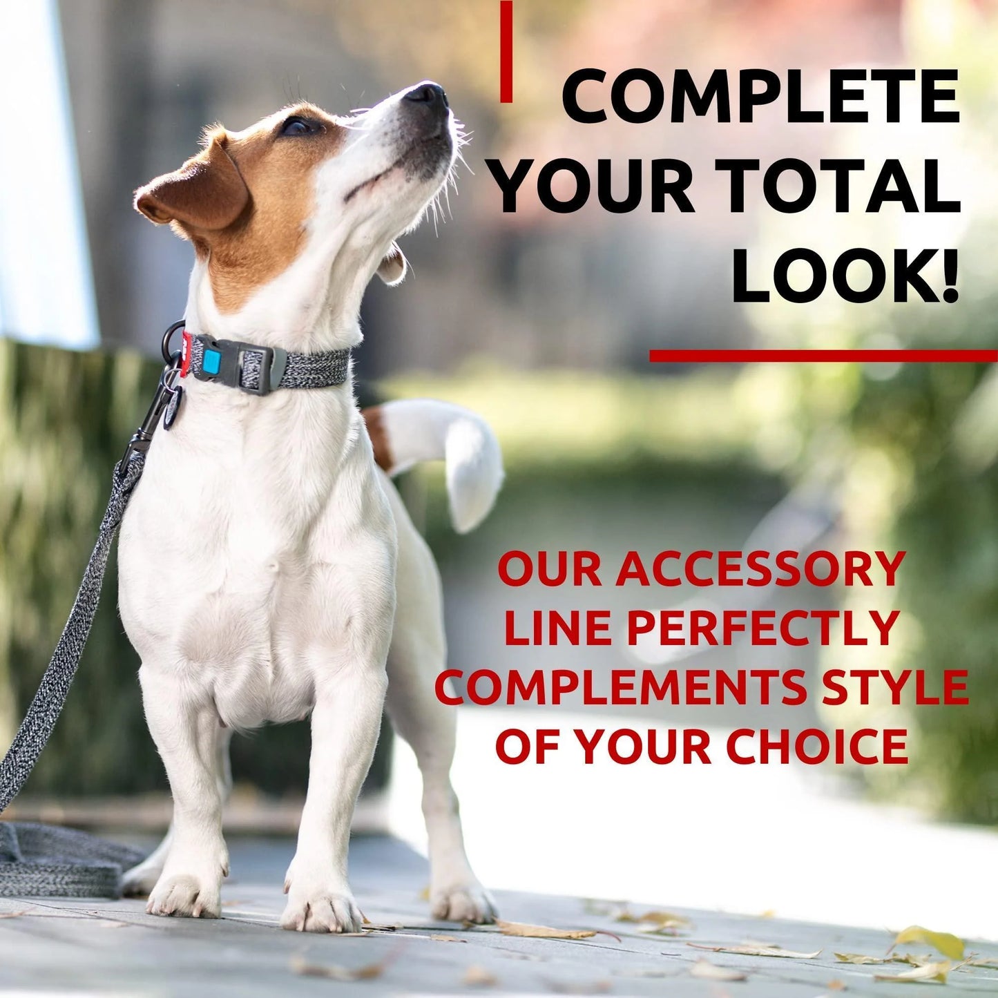 Recycled Cotton Dog Leash 3/5 Inch X 6 Ft Eco Friendly for Small Medium Large