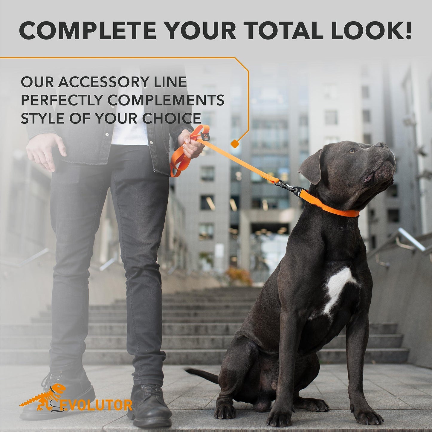 Orange Evolutor Extra Heavy Duty Dog Leash 10 Ft Durable Leash for Large Dogs