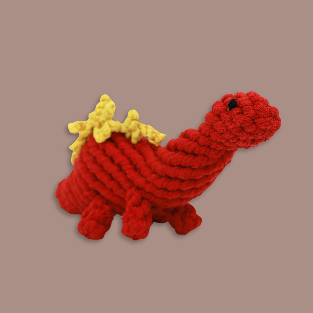 Ruby the Red Dinosaur Rope Toy-1
