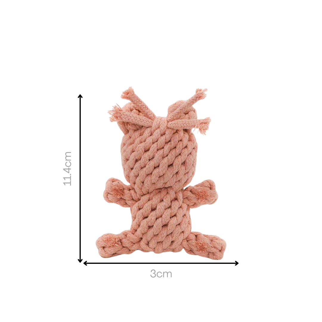 Sweetheart Macarons & Bear Hugs Collection Dog Toys-5