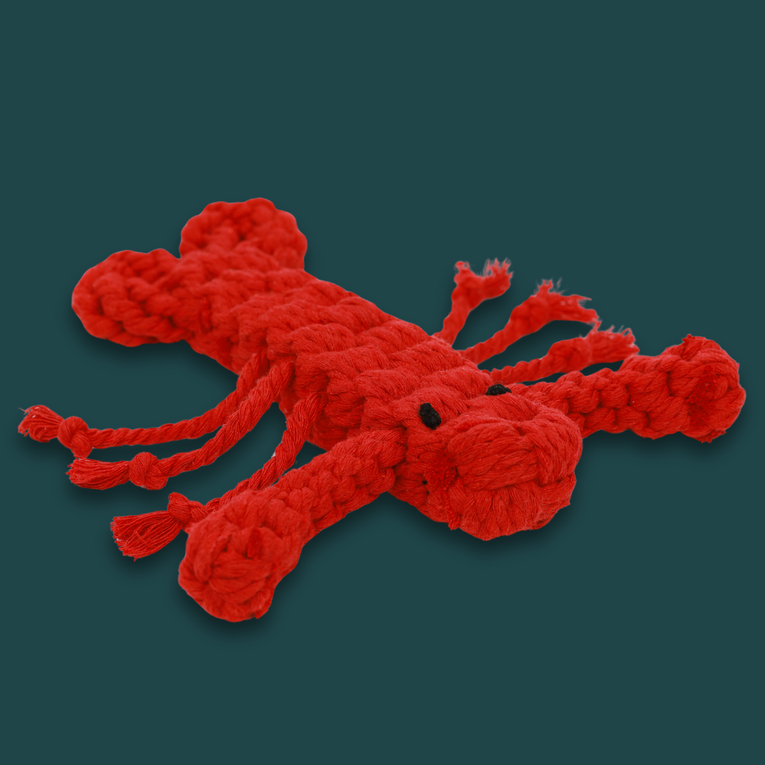 Rose the Lobster Pet Rope Toys-1