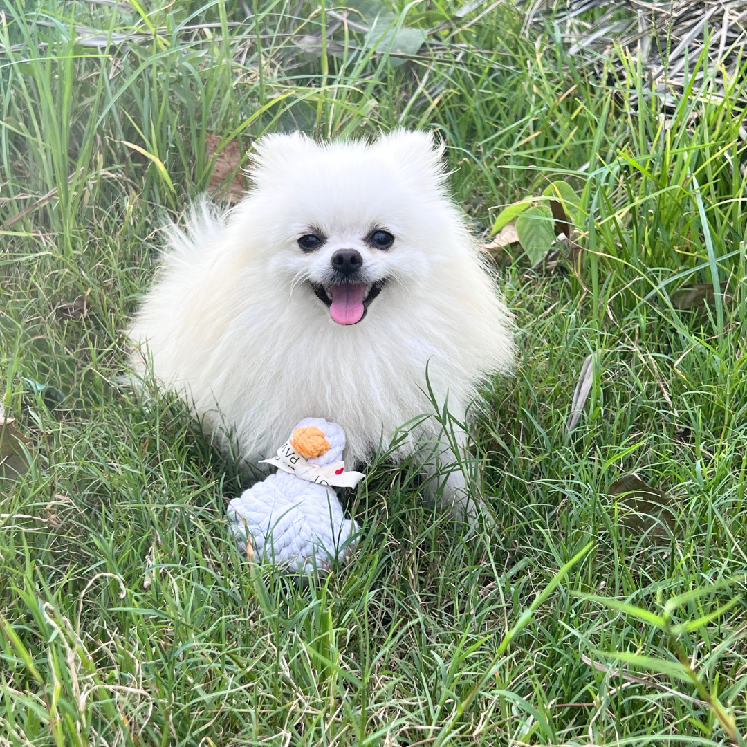 Agnes the White Duck Pet Squeaky Rope Toys-2
