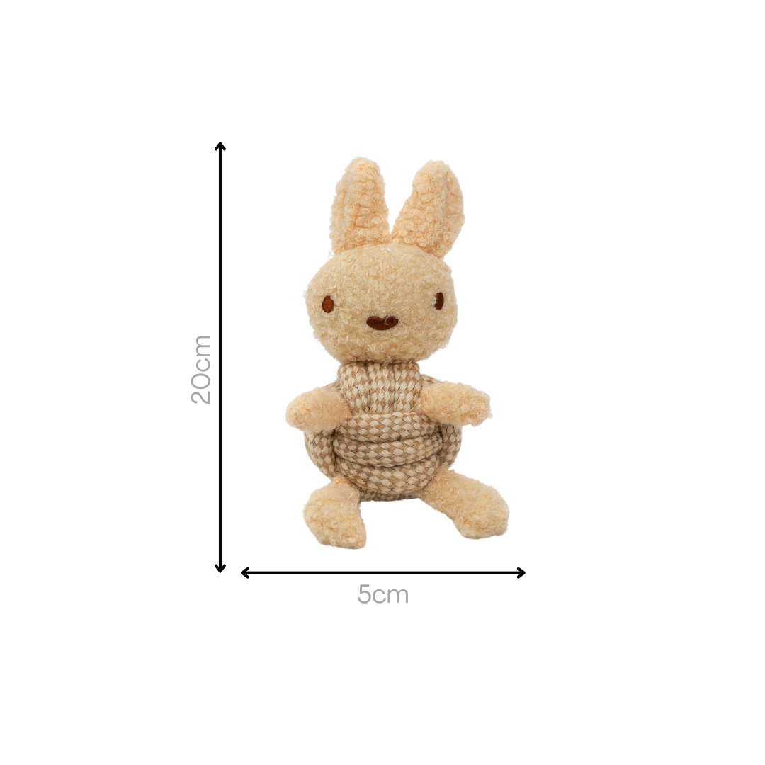 Squeaky Rope Buddies-8