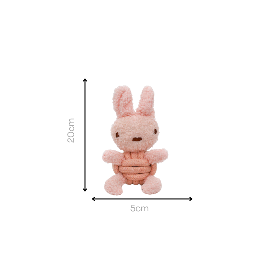 Squeaky Rope Buddies-7