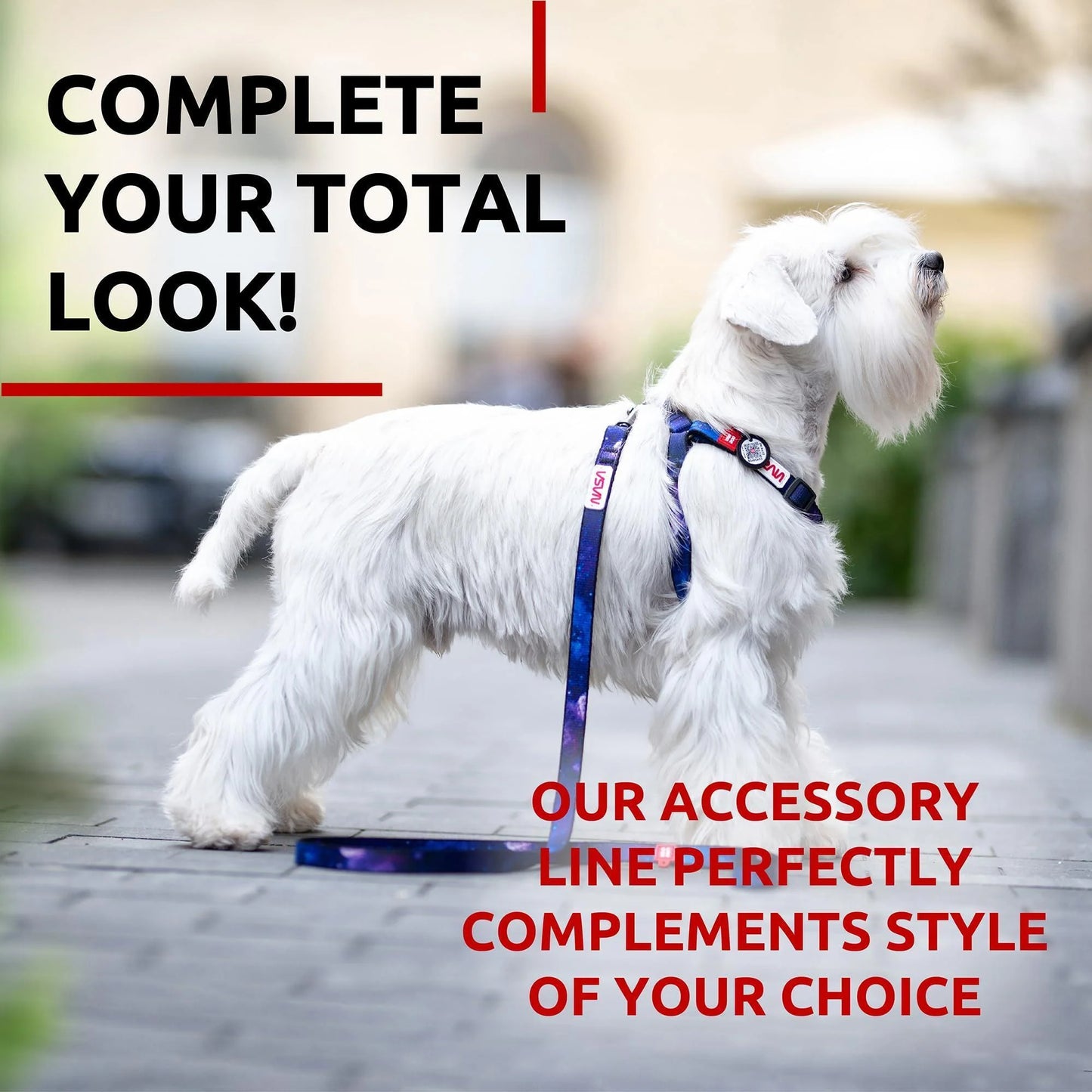Nylon Dog Leash for Small and Medium Dogs 4 Ft X 4/5 in Wide NASA Design
