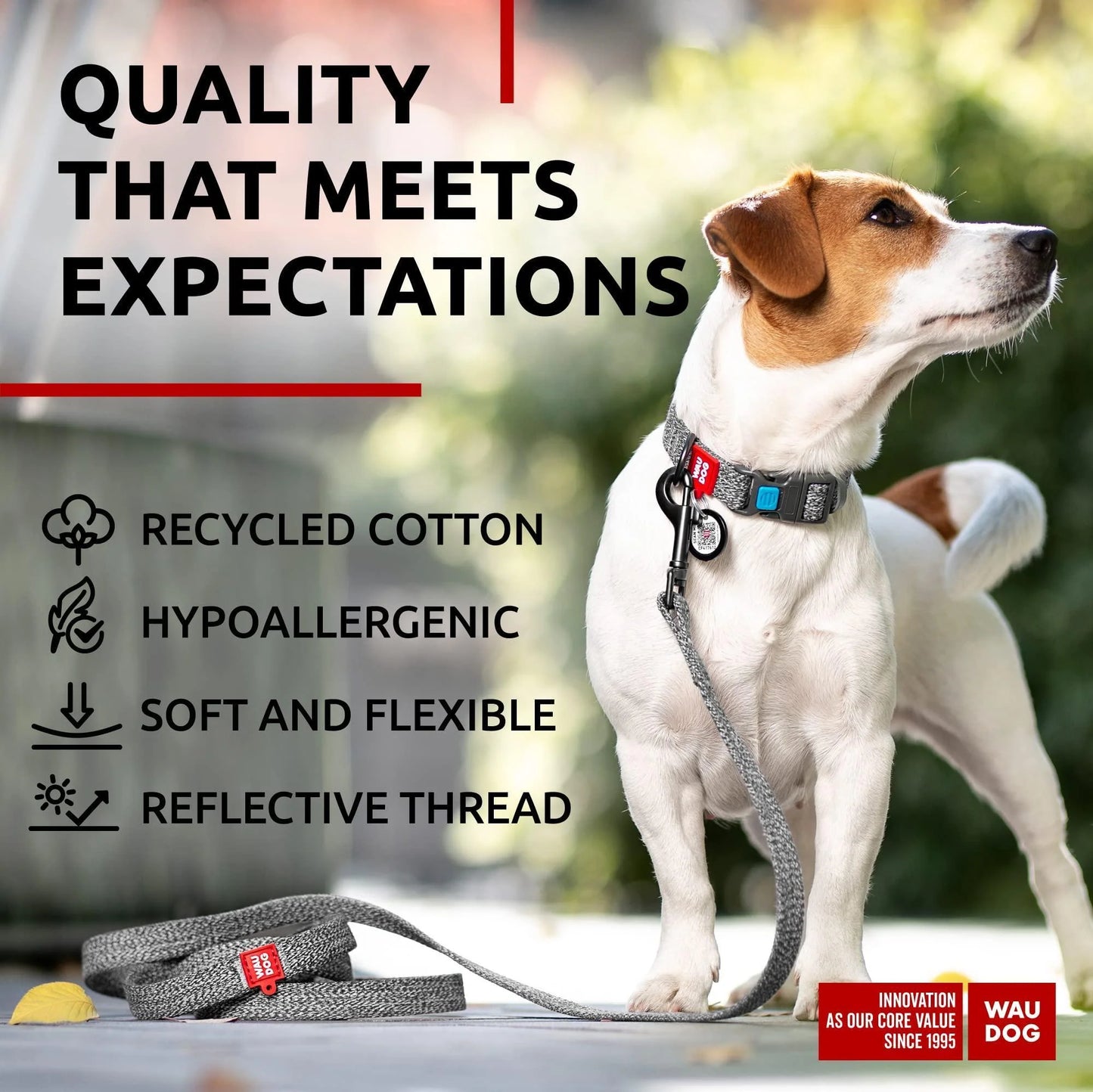 Recycled Cotton Dog Leash 3/5 Inch X 6 Ft Eco Friendly for Small Medium Large