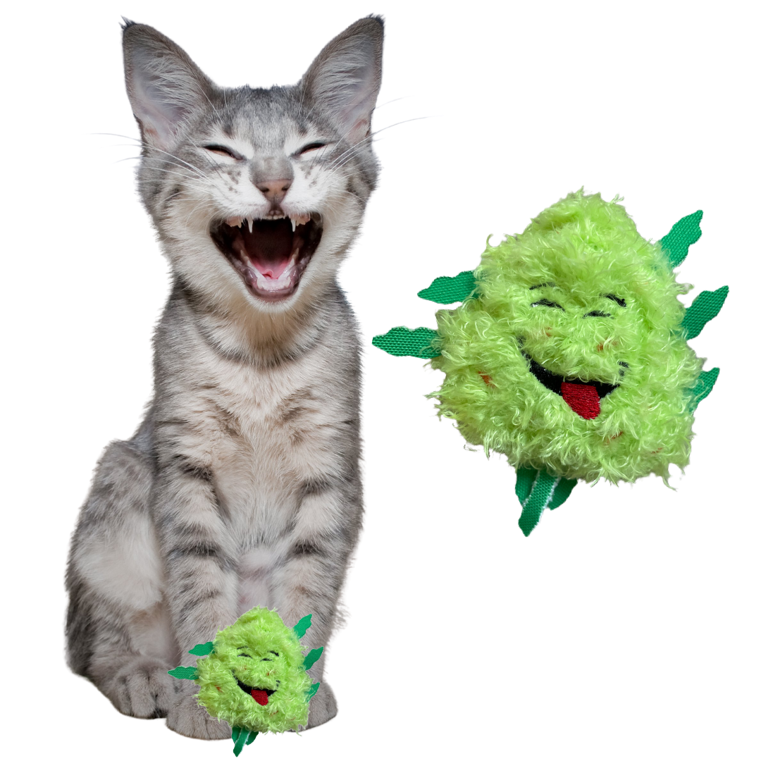 Bud Jr. the Weed Nug 420 Cat Toy-3