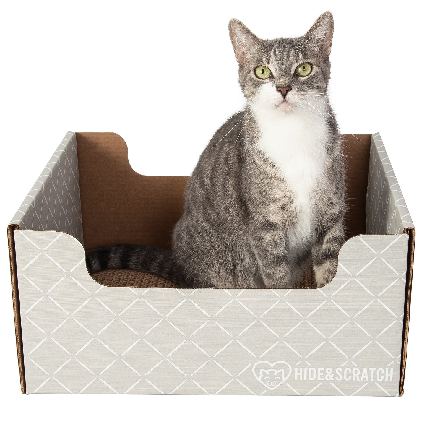 Hide & Scratch Extra-Large Cat Scratcher Box-6