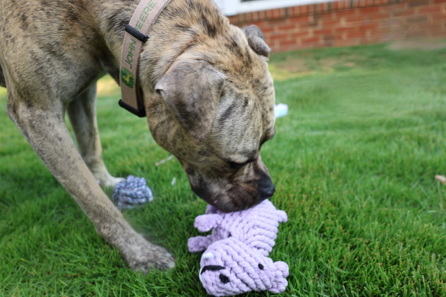Luxury Handmade Macrame Large Hippo-2