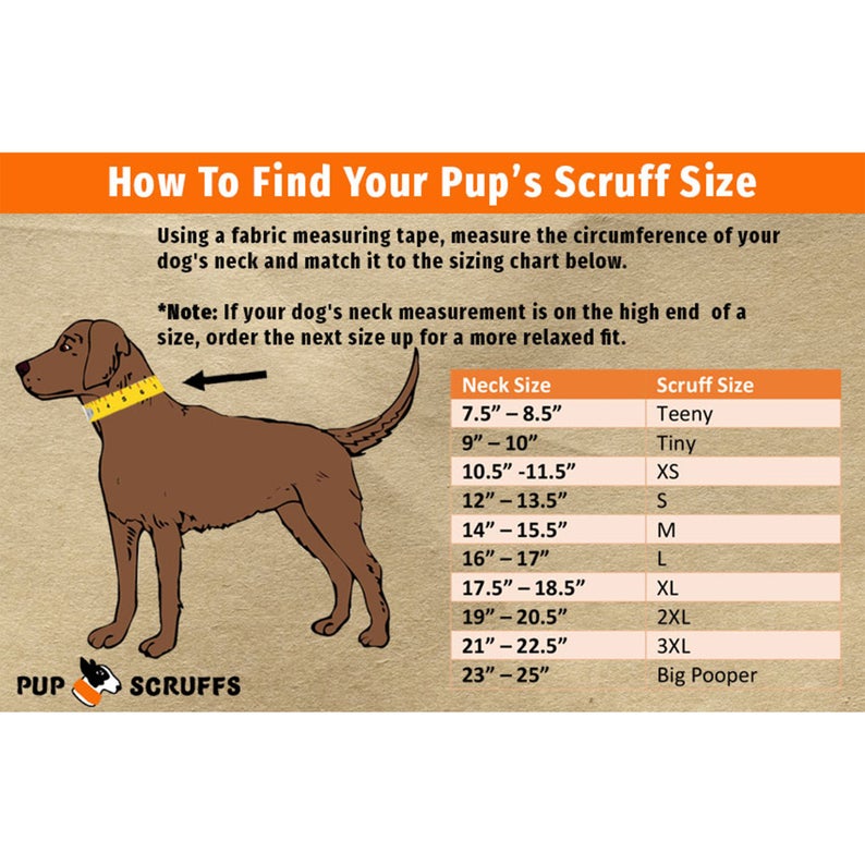 Salty Dog Pup Scruff-4