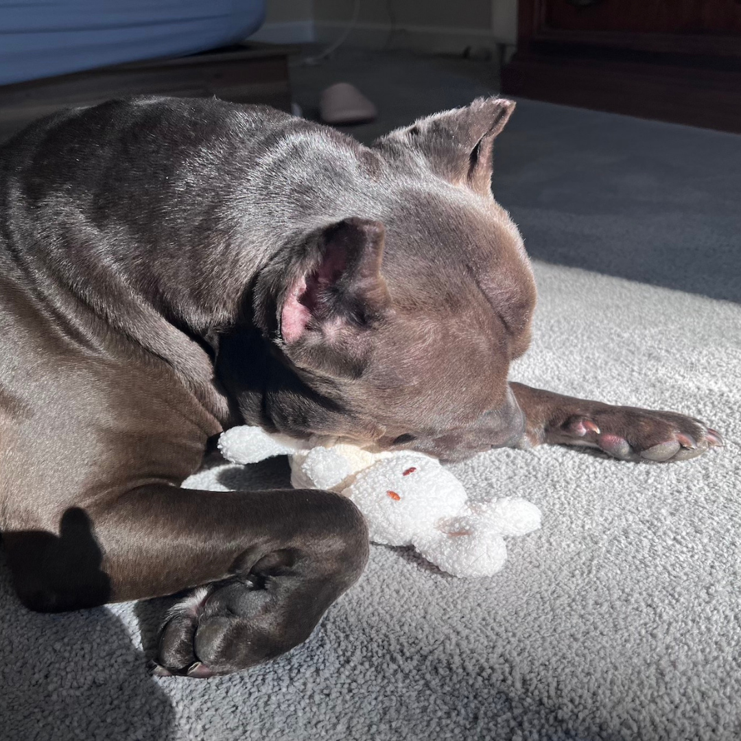 Squeaky Rope Buddies-3
