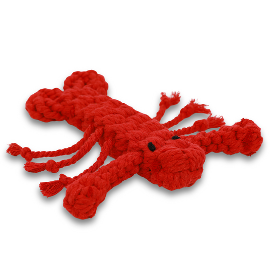Rose the Lobster Pet Rope Toys-0