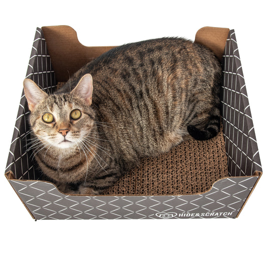Hide & Scratch Extra-Large Cat Scratcher Box-0